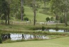 Helen Springs Stationlandscaping-water-management-and-drainage-14.jpg; ?>